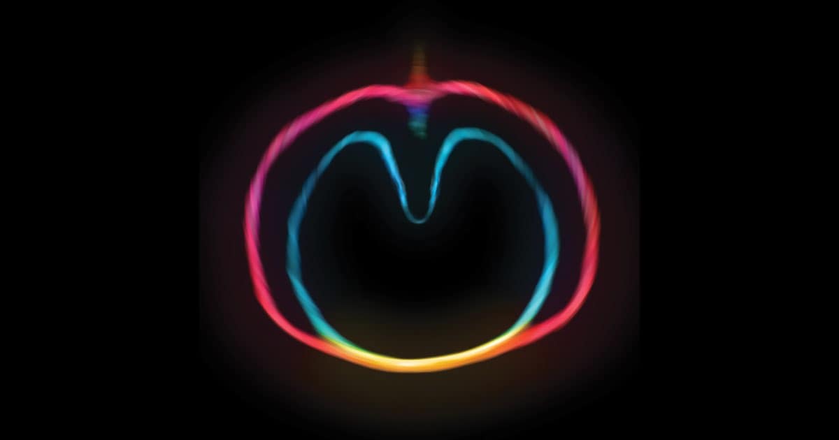 XTC Anniversary: Wasp Star (2000)