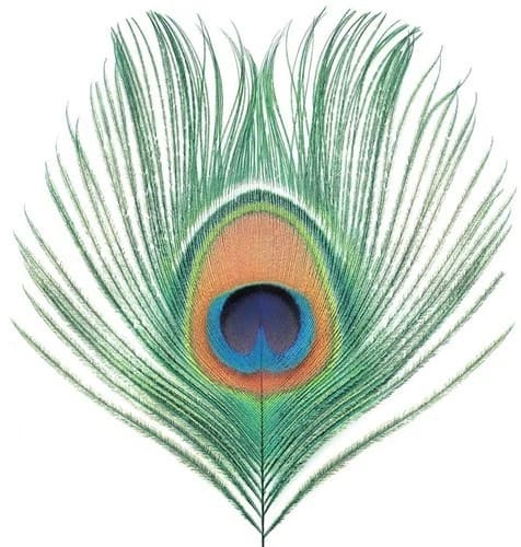XTC Anniversary: Apple Venus Volume 1 (1999)